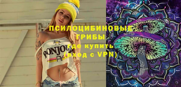 стафф Аркадак